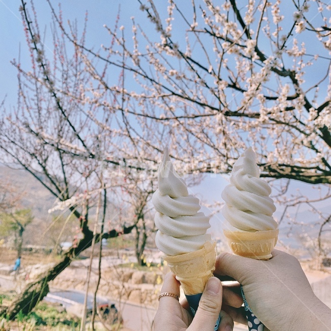 봄,음식,dessert,아이스크림,풍경,배경