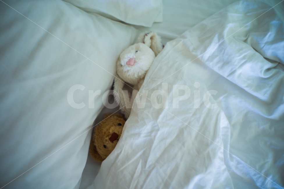 추억,인형,침대,이불,토끼,곰,편안함,어린시절,호텔,memory,doll,bed,blanket,rabbit,bear,comfortable,childhood,hotel,휴식,힐링,rest,relaxation,healing,감성,sensible,feeling,사물,물건,오브젝트,thing,object,matter