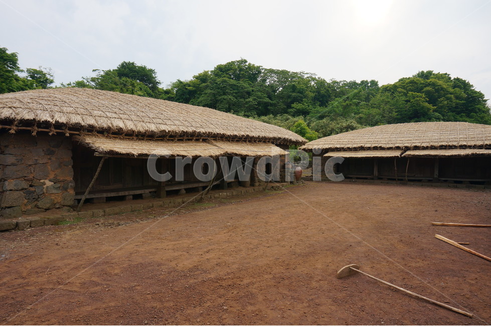 제주도,민속촌,전통가옥,마당,나무,짚,지붕,집,jejuisland,folk,trandition,house,straw,tree,yard,시골,마을,풍경,landscape,country,rural,town,한국전통,한국문화,korean traditional,korean culture,건축물,건물외관,exterior,building,structure,architecture,construction