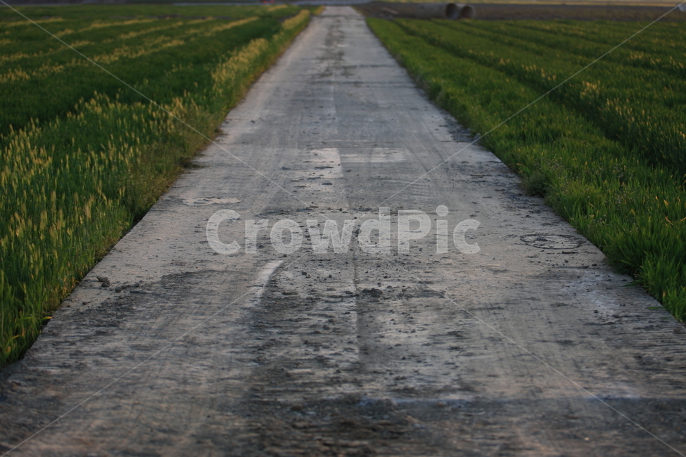 길,도로,way,road,풍경,ladnscape,교통,교통수단,traffic,transportation,asphalt,아스팔트