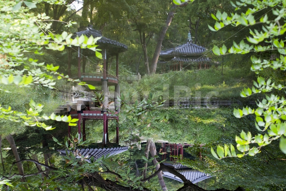한국의연못,연못,한국정원,후원,비원,창경궁,창덕궁,정자,한국의미,반경,풍경,Korea,자연,풍경,nature,landscape,랜드마크,landmark,tourist attraction,한국전통,한국문화,korean traditional,korean culture,outdoors,옥외