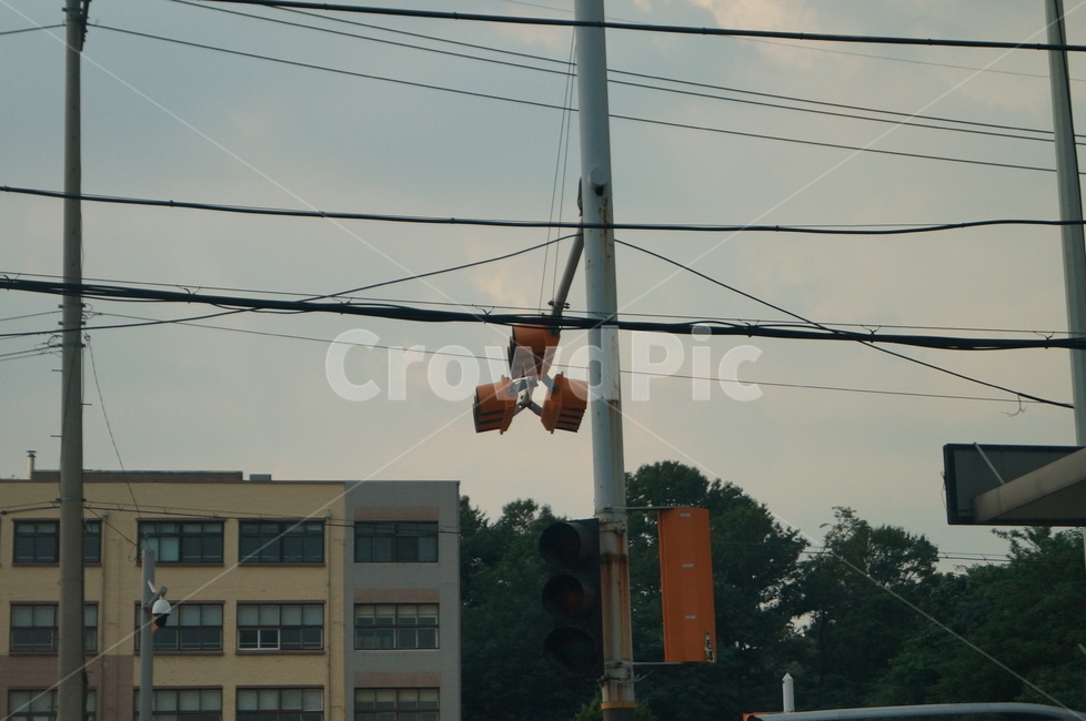 빛,신호등,trafficlight,초등학교,거리