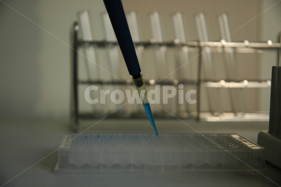 실험,분석,피펫,laboratory,실험실,시험