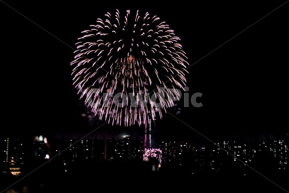 불꽃,불꽃축제,여의도불꽃축제,밤,이쁜불꽃,야경,야경,밤,풍경,nightscape,night,landscape,축제,행사,festival,carnival,event,nature,자연,outdoors,옥외