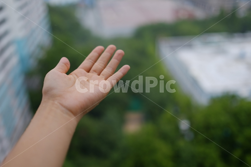 비,사람,손가락,손사진,빗방울,finger,인간,person