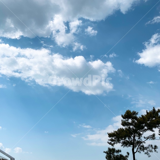 하늘,구름,나무,푸른,파랑,날씨,맑음,자연,풍경,nature,landscape,outdoors,옥외
