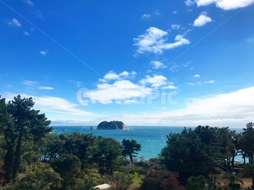 나무,바다,sea,해변,하늘,sky