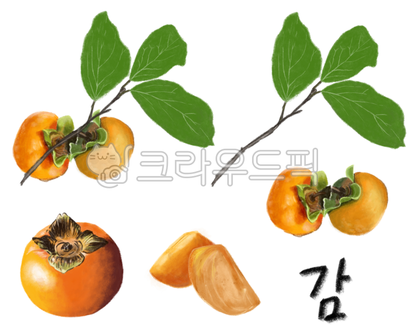 단감, 감, 과일, 가을과일, 과일일러스트, 사진,이미지,일러스트,캘리그라피 - 52saseyou작가