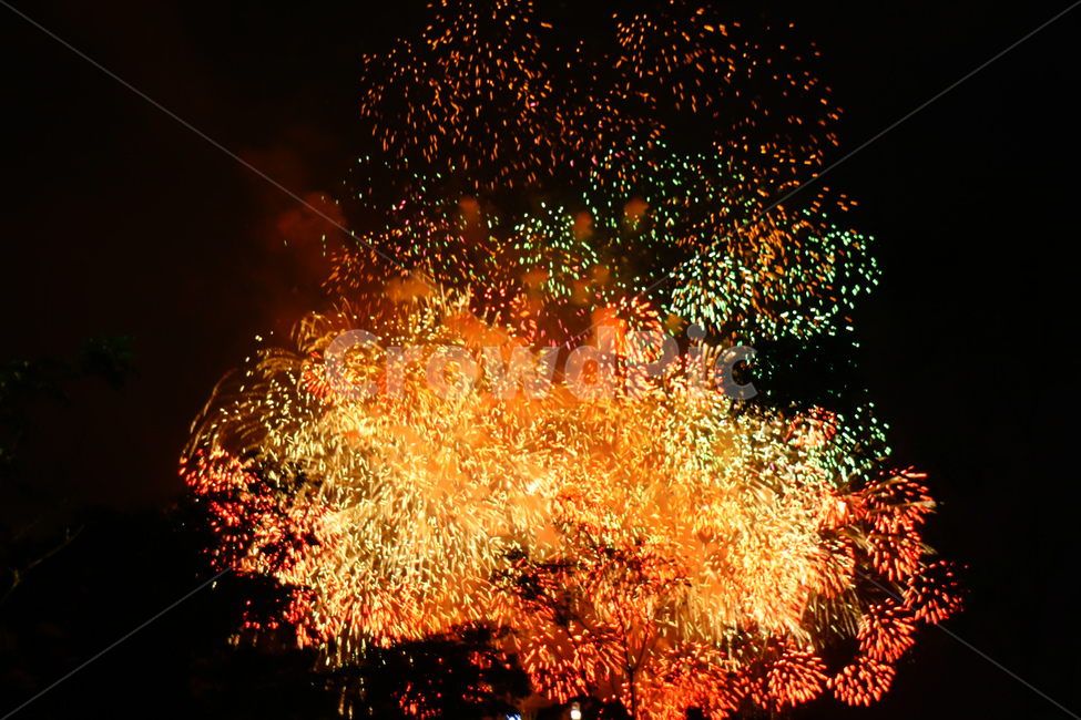 lighting,조명,축제,festival,불꽃,flame,outdoors,fireworks,fireworksdisplay,야경,밤,풍경,nightscape,night,landscape,축제,행사,festival,carnival,event,nature,자연,옥외,tree,나무,christmas tree,크리스마스 트리,ornament,장식,plant,식물