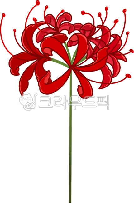 피안화,석산,꽃무릇,빨간꽃,죽음,일본,저승,부정적