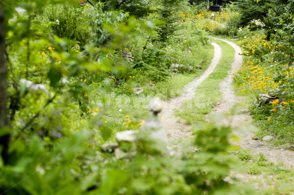 오솔길,산길,외길,흙길,dirtroad,gravel