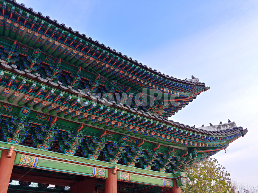한옥,창경궁,조선,고궁,처마,옛,역사,서울,궁,기와,관광,전통