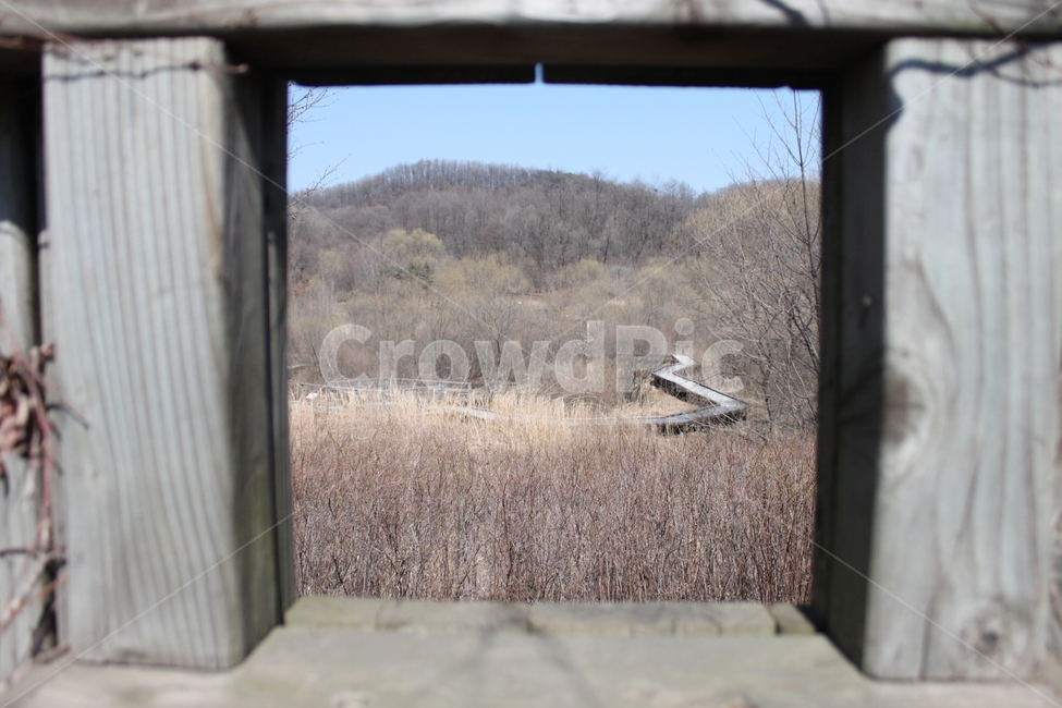 생태공원,철새,서식지,자연,숲,나무