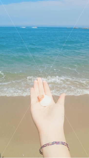 바다,여름,조개,여름바다,여름분위기,해변,바다,beach,sea,사람,인물,인간,human,person,신체일부,몸,body
