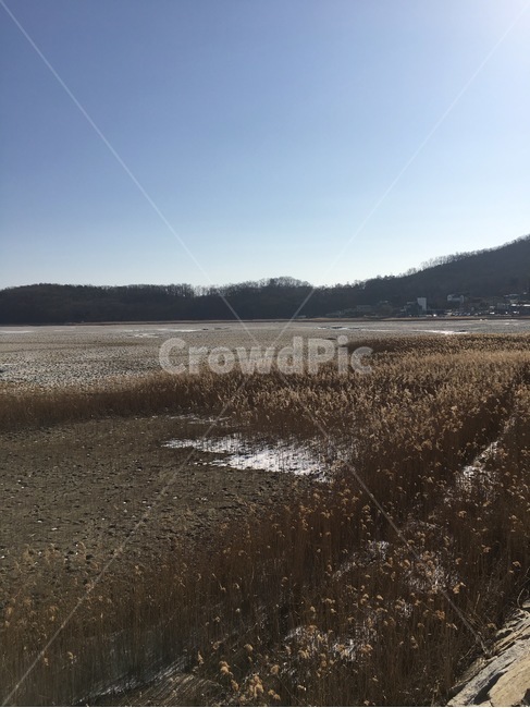 겨울,바다,노을,강화도,서해,갈대