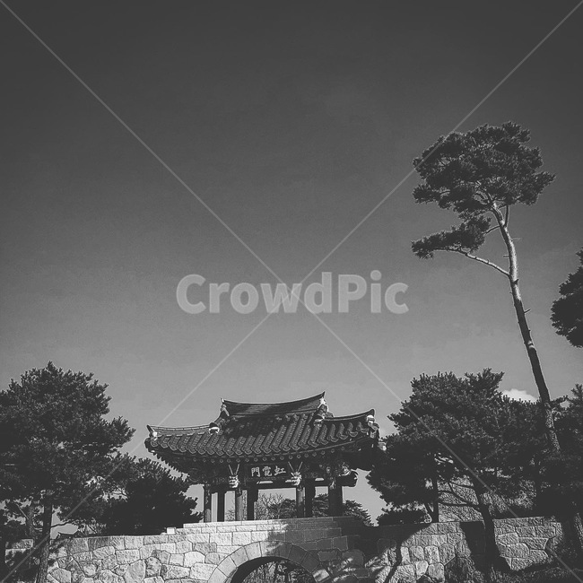 풍경,자연,낙산사,입구,nature,흑백,모노톤,monochrome,black and white