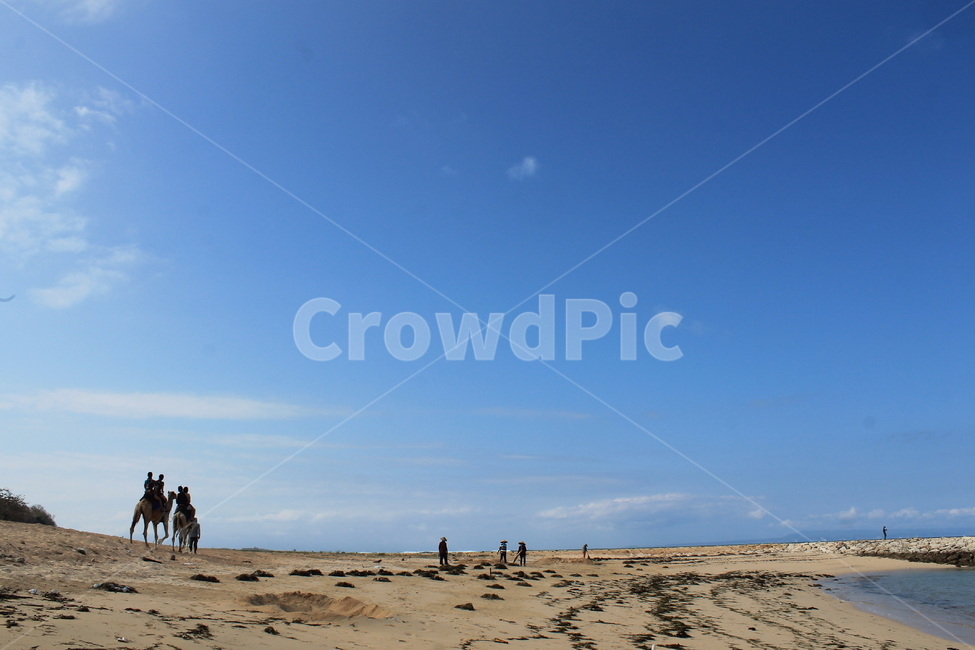인도네시아,발리,누사두아,해변,낙타,indonesia,bali,onta,camel,camels,sky,bluesky,하늘,푸른하늘,파란하늘,자연,nature,해변,바다,beach,sea