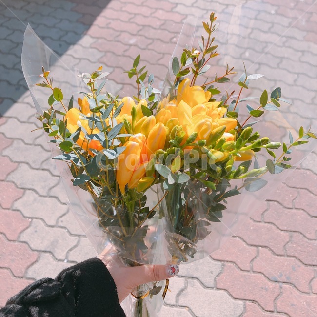 프레지아,후레지아,꽃다발,꽃,플라워,꽃,flower,기념일,축하,anniversary,congratulation,celebrate,celebration