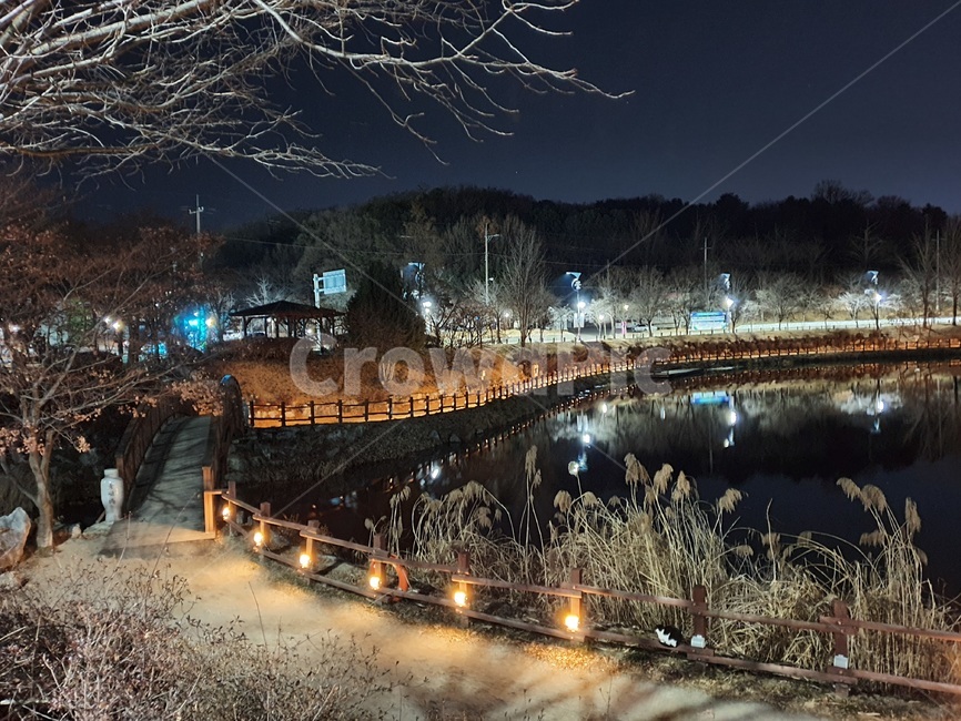 야간,야경,자연,풍경,공원