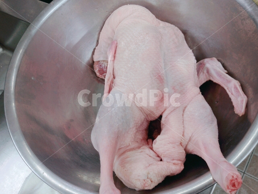 mammal,animal,닭,치킨,식재료,재료,음식