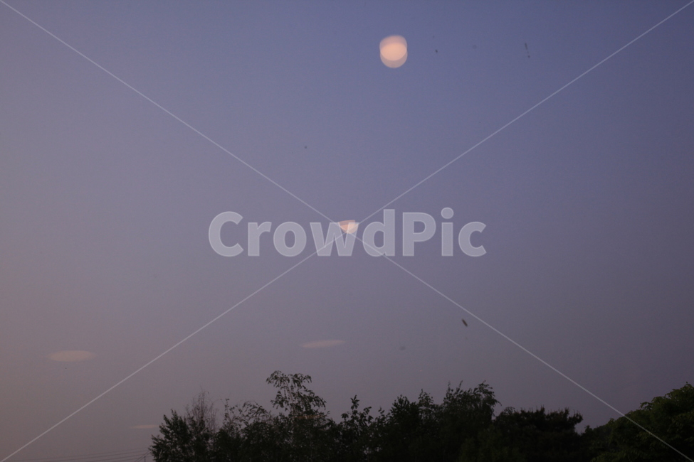 창문,불빛,빛,나무,나뭇가지,자연,풍경,nature,landscape,야경,밤,nightscape,night,outdoors,옥외