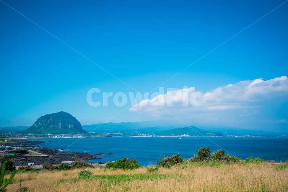 제주도,제주도풍경,송악산,jejuisland,landscape,바다,구름,하늘,갈대,제주도바다,한국풍경,자연,풍경,nature,landscape,제주도,jeju,jeju island,land,땅,outdoors,옥외,water,물,sea,ocean,대양,shoreline,해안선,promontory,곶