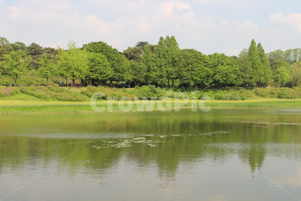 숲,호수,야외,공원,나들이,녹색,하늘,배경,식물,나무,자연,풍경,nature,landscape,water,물,outdoors,옥외