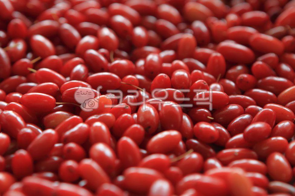 Cornus officinalis fruit,Wild vegetables,Cornus officinalis,Ripe Cornus officinalis,Autumn Cornus officinalis fruit,autumn,A malfunctioning child,Red blood
