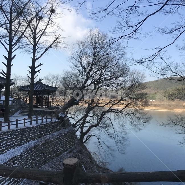 풍경,바다,절,사원,깨끗한,여유로운,맑은,강,나무,자연,풍경,nature,landscape,tree,plant,식물,outdoors,옥외