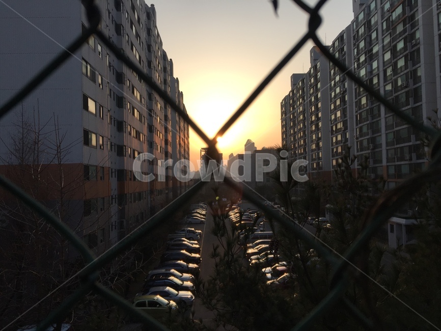 저녁노을,노을,저녁,빛,철조망