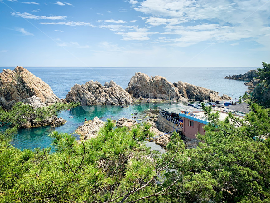 삼척,장호항,스노클링,푸른바다,바다