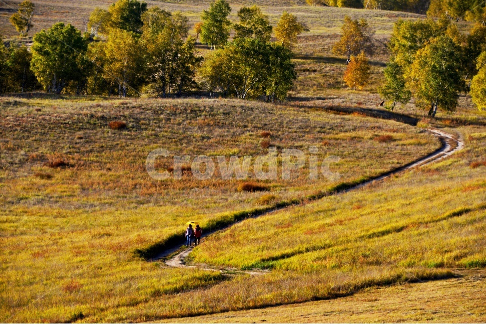 ground,바닥,human,인간,person,사람,outdoors,옥외,grassland,목초지,field,들,landscape,경치,nature,자연,scenery,풍경,중국,몽고,패상,패상가을