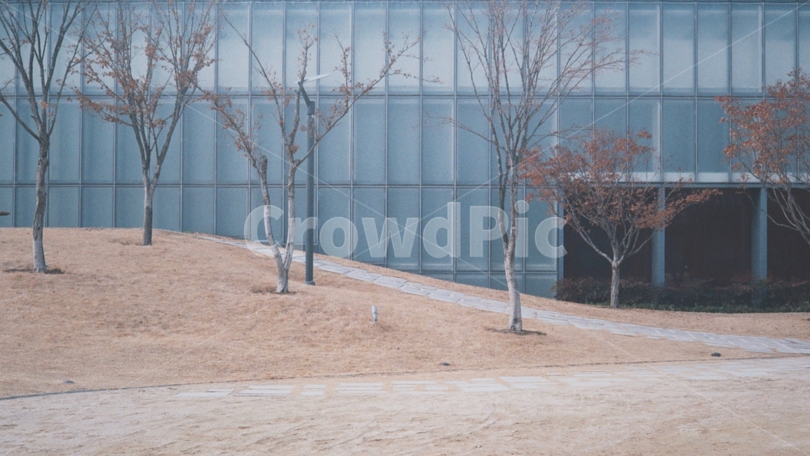 건물,서울,겨울,나무,휴식,파랑,겨울,계절,winter,season,식물,자연,plants,nature,나무,trees,wood