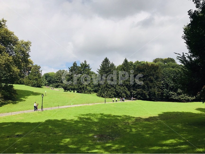 뉴욕,센트럴파크,공원,구름,하늘,잔디,나무,newyork,centralpark,park,cloud,sky,grass,tree