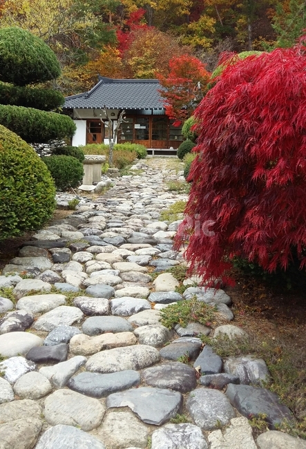 가을,정원,단풍,집,돌길,한국전통,한국문화,korean traditional,korean culture,건축물,건물외관,exterior,building,structure,architecture,construction