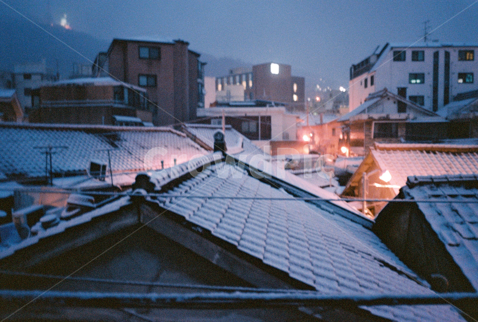 남산,후암동,겨울,동네,자연,옥외,nature,outdoors,film,감성,필름,겨울,계절,winter,season,도시,풍경,city,landscape