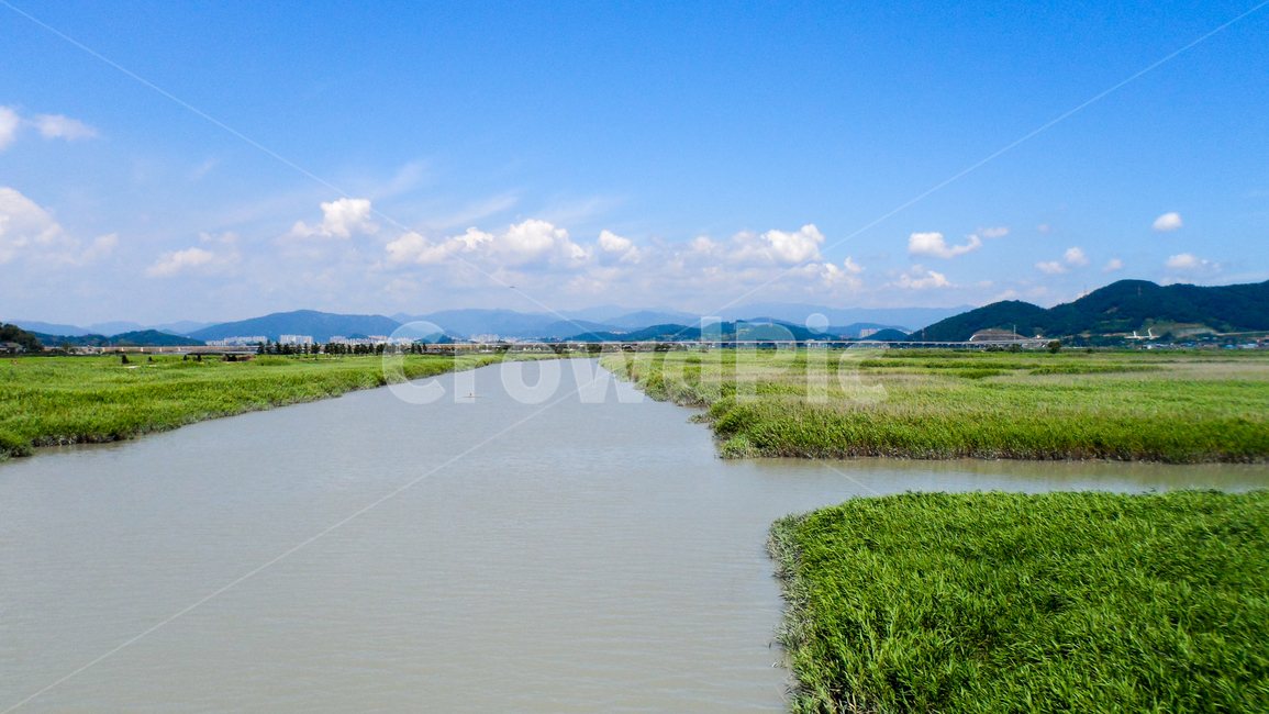 nature,자연,outdoors,옥외,water,물,습지,순천만,순천만습지,순천만생태공원,자연,풍경,nature,landscape,ditch,도랑,land,땅