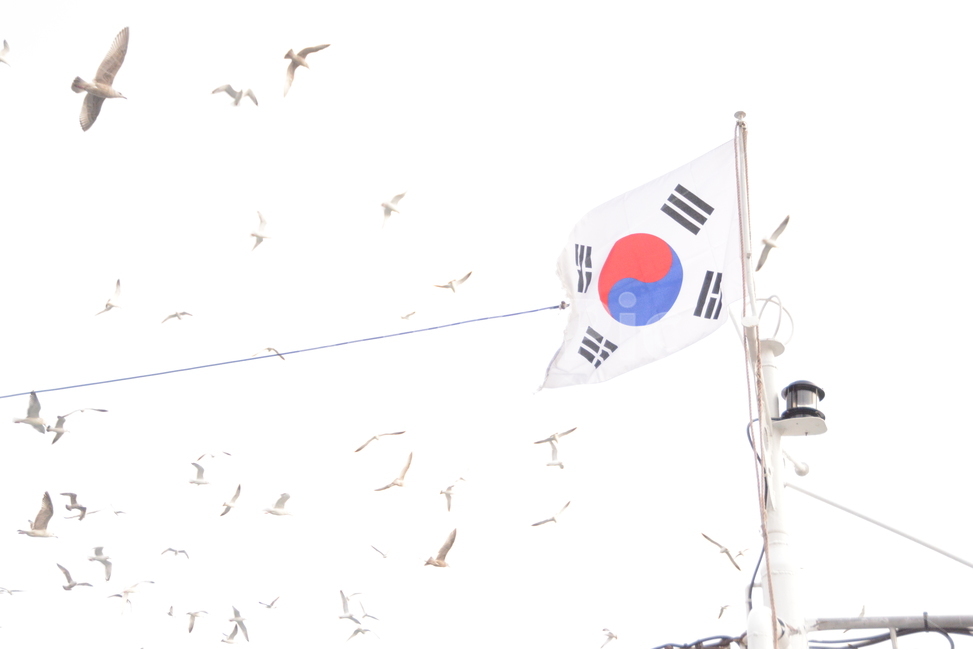 갈매기,태극기,군무,환송,출어