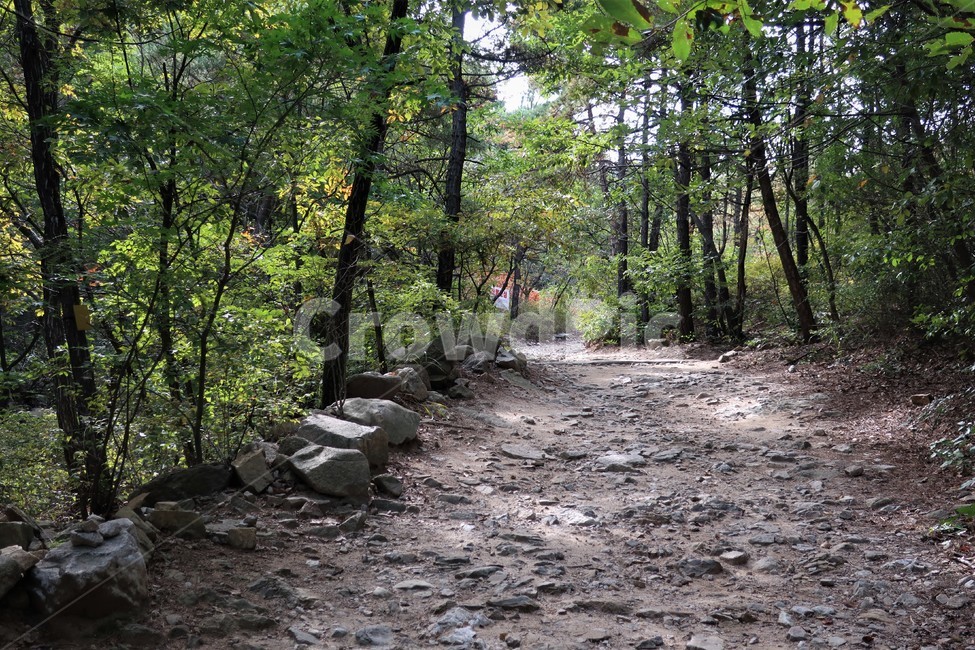 등산로,산책로,트레킹,코스,산길,둘레길,등산,산행,숲길,자연
