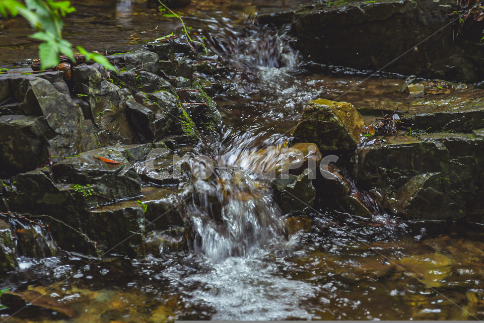 개울,물,바위,자연,여름,계곡,옥외,water,nature,outdoors,rock,자연,풍경,nature,landscape