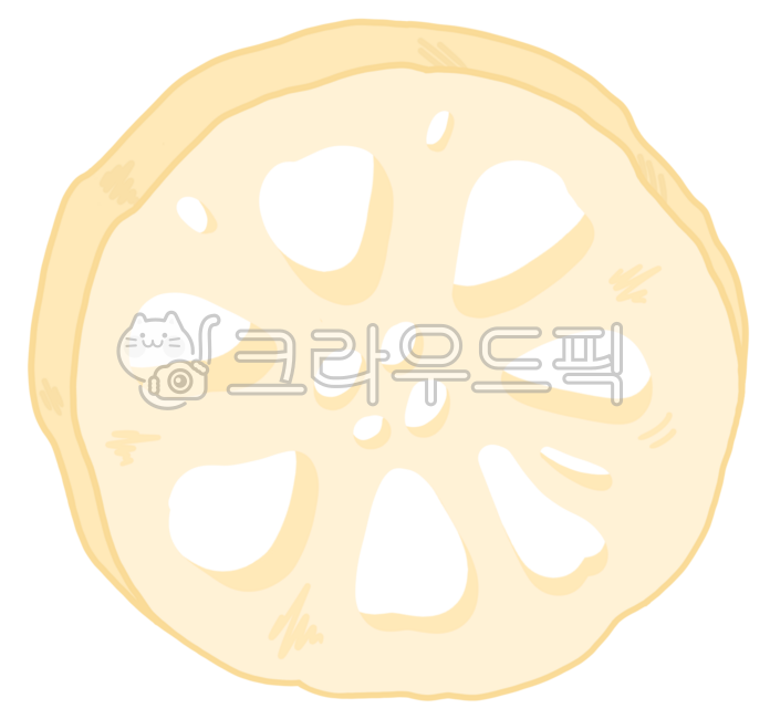 연근,연근그림,연근일러스트,그림,일러스트,채소,채소그림,채소일러스트