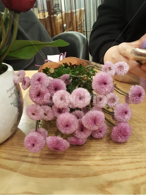 국화,가을꽃,국화다발,보라색꽃,보라색국화