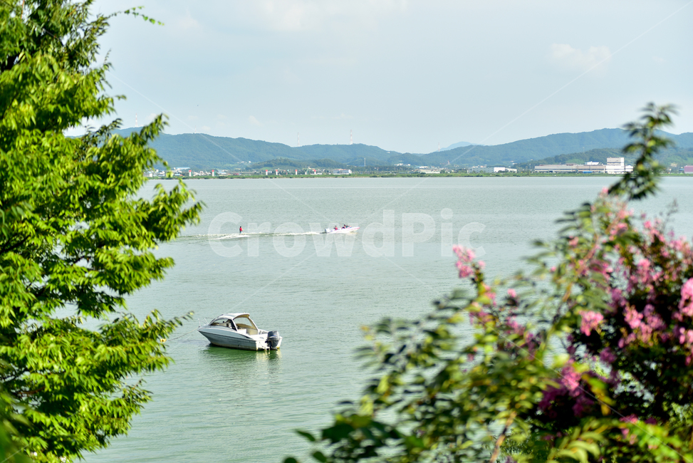 평택호,호수,평택호수,보트,수상스키,물놀이,평택호풍경,lake,boad