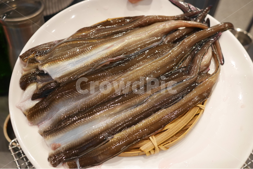 장어,보양식,복날,돌장어,마산돌장어,회식,회식메뉴,모임,음식,저녁식사,food,숯불,숯불구이,스테미너,음식,식재료,요리,food,cook,meal,dishes,food reserves,수산물,해산물,fishery products,seafood,한식,한국음식,한국요리,korean food,korean dishes,korean meal,korean cook