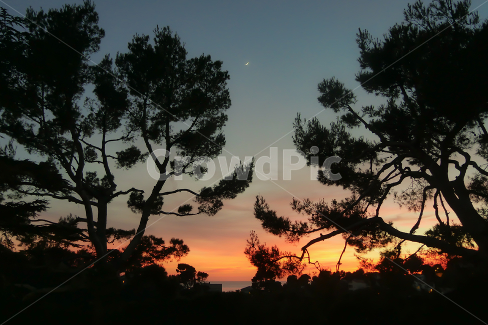석양,silhouette,실루엣,자연,nature,해질녘,sunset,나무,tree,초승달,감성사진,개와늑대의시간,석양빛,저뭄,쪽빛,남프랑스,전원,france,sudfrance,남부프랑스,프로방스,풍경,스냅,필름느낌,여름,하늘,노을,구름,여름하늘,코튼캔디,솜사탕,분홍,핑크,landscape,감성,sensible,feeling,색깔,색상,색채,색감,color,sense,colorsensitivity,feelingofcolor,해외,외국,세계,foreign,overseaworld,세계자연풍경,해외자연풍경,외국자연풍경,world,야경,밤,풍경,nightscape,night,landscape,outdoors,옥외