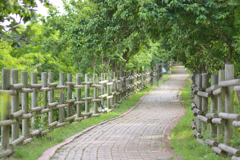 숲길,녹색,길,아름다운길,초록,자연,풍경,nature,landscape,식물,plants,휴식,힐링,rest,relaxation,healing,path,통로,walkway,보도,garden,정원,arbour,정자,outdoors,옥외