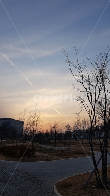 서울식물원,마곡식물원,풍경,겨울풍경,공원,자연,풍경,nature,landscape,outdoors,옥외
