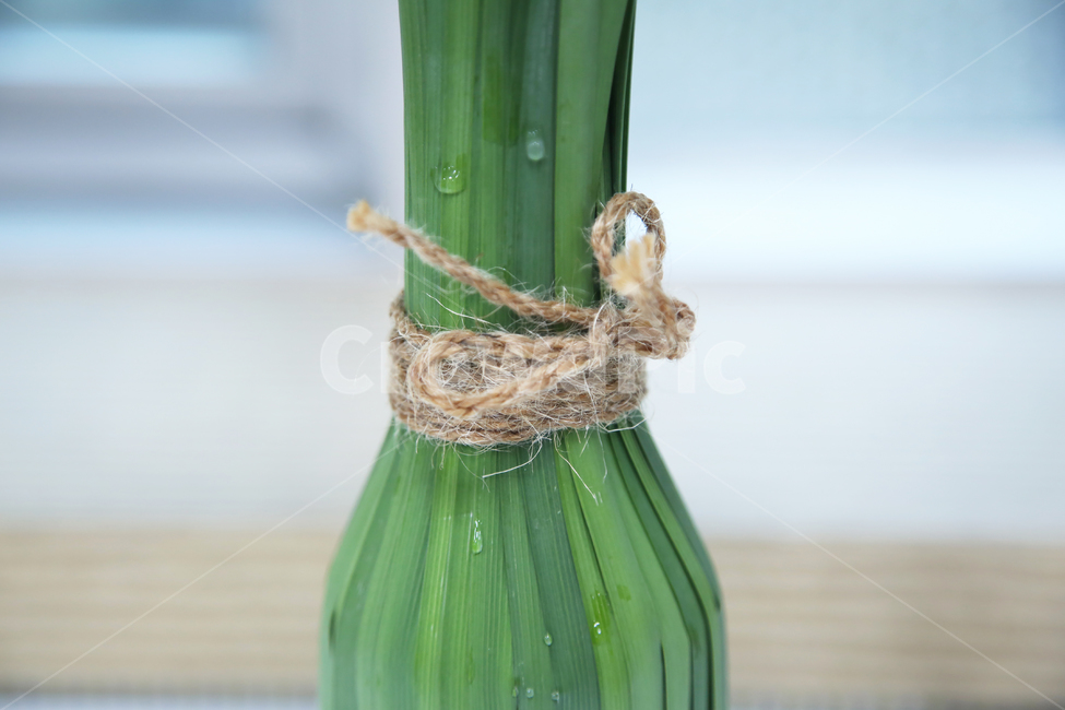 난잎꽃병화기,꽃병,인테리어,자연,여름,식물,자연,plants,nature