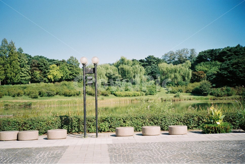 필름,필름카메라,감성사진,필름사진,올림픽공원,하늘,전경,풀,자연,자연,풍경,nature,landscape,flagstone,판석
