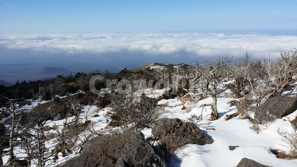 겨울산,제주도,한라산,산정상뷰,설경,jejuisland,wintermountain,snow,topview,mthanlla